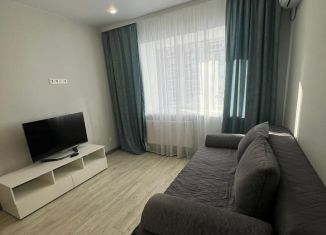 Сдается в аренду 1-ком. квартира, 40 м2, Хабаровск, улица 65-летия Победы, 1/15