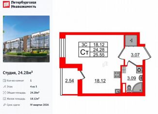 Квартира на продажу студия, 24.3 м2, Санкт-Петербург, муниципальный округ Пулковский Меридиан