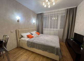 Квартира в аренду студия, 30 м2, Ижевск, Северный переулок, 50