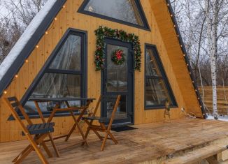 Сдается в аренду дом, 45 м2, СНТ Садовод-1, территория Придорожная, 30