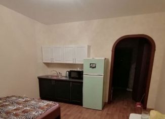 Сдается квартира студия, 26 м2, Новосибирск, Тульская улица, 80, ЖК Тульский