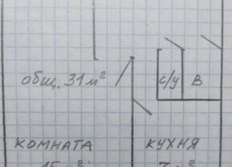 Однокомнатная квартира на продажу, 32 м2, Ленинградская область, Молодёжная улица, 2