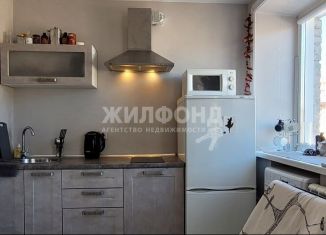 Аренда квартиры студии, 30 м2, Новосибирск, Советская улица, 79А, метро Красный проспект