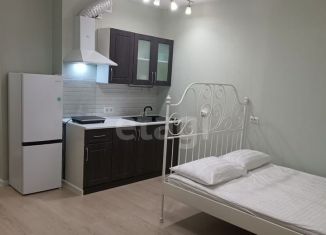 Сдаю квартиру студию, 24.2 м2, Обь, Октябрьская улица, 5