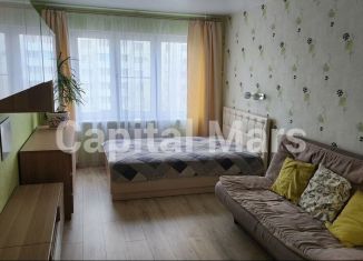 Сдам 2-ком. квартиру, 55 м2, Санкт-Петербург, улица Коллонтай, 4к1