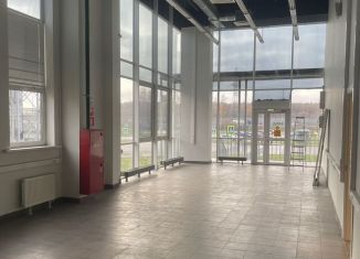 Сдаю в аренду помещение свободного назначения, 118 м2, посёлок городского типа Томилино, территория Логистический Центр, к38