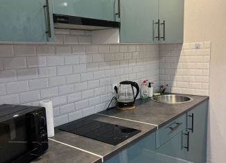 Аренда квартиры студии, 22 м2, Саратов, улица имени В.Н. Симбирцева, 44