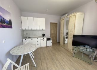 Сдаю в аренду квартиру студию, 30 м2, Ставрополь, улица Мичурина, 2/1, микрорайон № 9