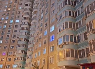 Квартира на продажу студия, 22.5 м2, Москва, Покровская улица, 31, район Некрасовка