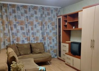 Аренда двухкомнатной квартиры, 45 м2, Новосибирск, Красный проспект, 90, метро Гагаринская