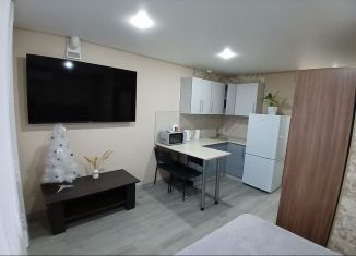 Квартира в аренду студия, 25 м2, Ростов-на-Дону, улица Содружества, 66/110