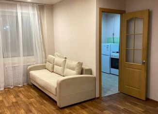 Сдается 1-ком. квартира, 30 м2, Пермский край, улица Мира, 94