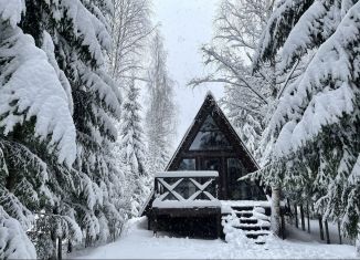 Сдается в аренду дом, 50 м2, Ленинградская область, Лесогорская улица, 79