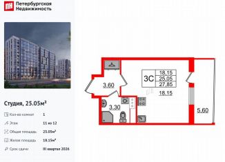 Продажа квартиры студии, 25.1 м2, Санкт-Петербург, метро Озерки