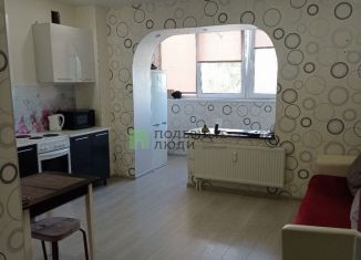 Квартира в аренду студия, 28 м2, Сыктывкар, улица Пушкина, 63