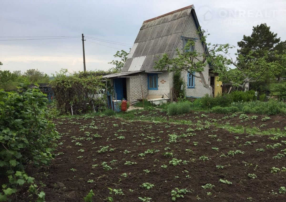 Купить Дачу В Курске Сосновый Бор