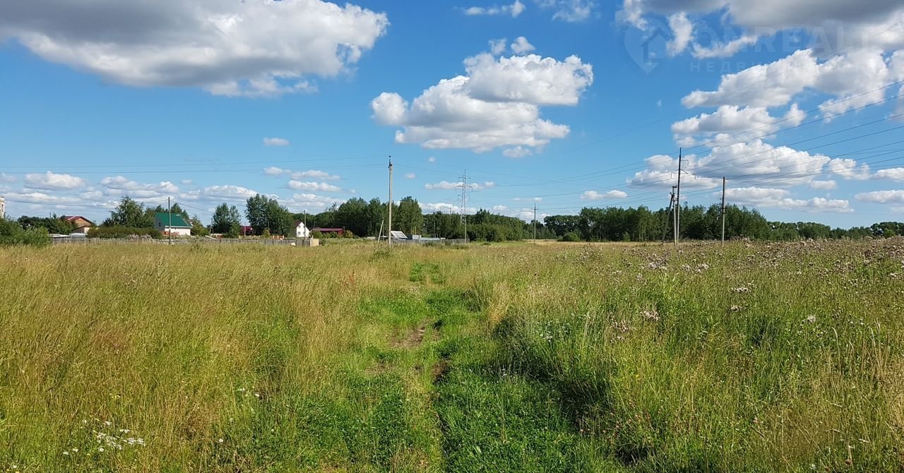 Деревня Родионцево. Деревня Родионцево Вологда. Южная роща Вологда. Родионцево фото Вологда.