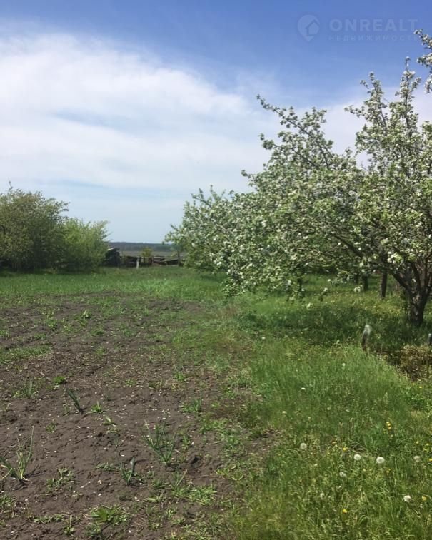 Купить Дачу В Воронежской Области Село