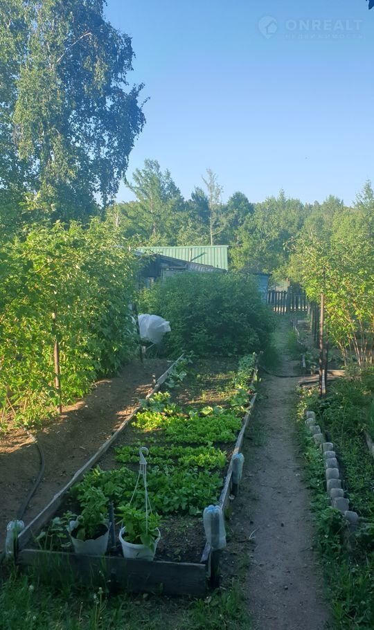 Купить Дачу В Чите Район Смоленского Кольца